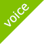 VOICE