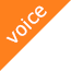 VOICE
